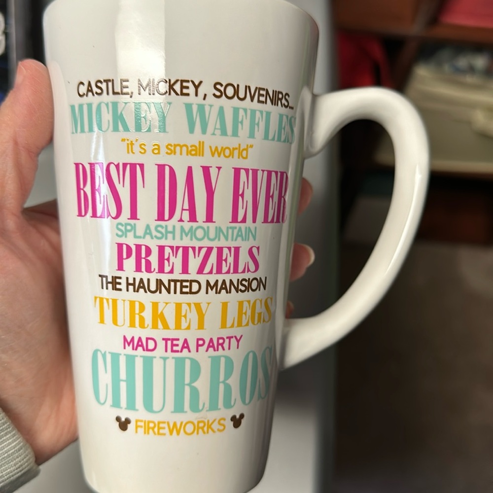 New Disney parks mug